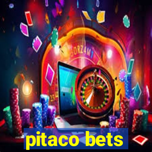 pitaco bets